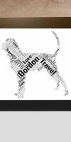Personalised Coonhound word art print