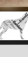 Personalised Greater Swiss Mountain